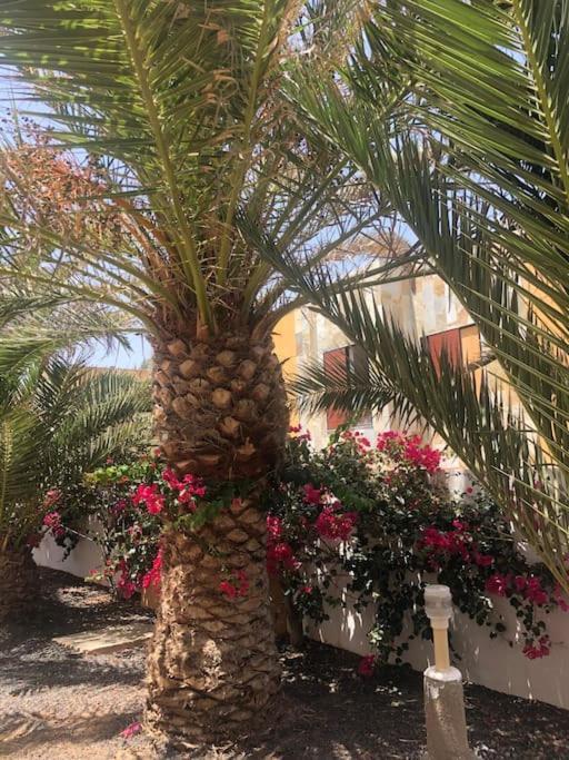 דירות קוסטה דה אנטיגואה Cheers On Fuerteventura מראה חיצוני תמונה
